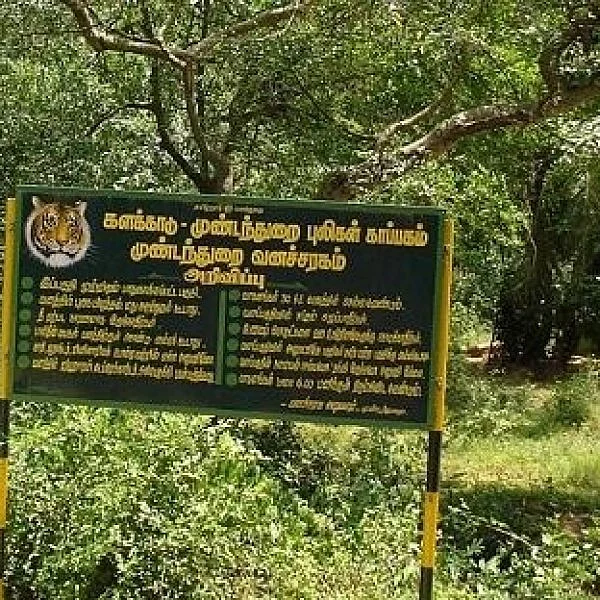 களக்காடு-முண்டந்துறையில் வனவிலங்குகளை கணக்கெடுக்க களமிறங்கின 29 குழுக்கள்!