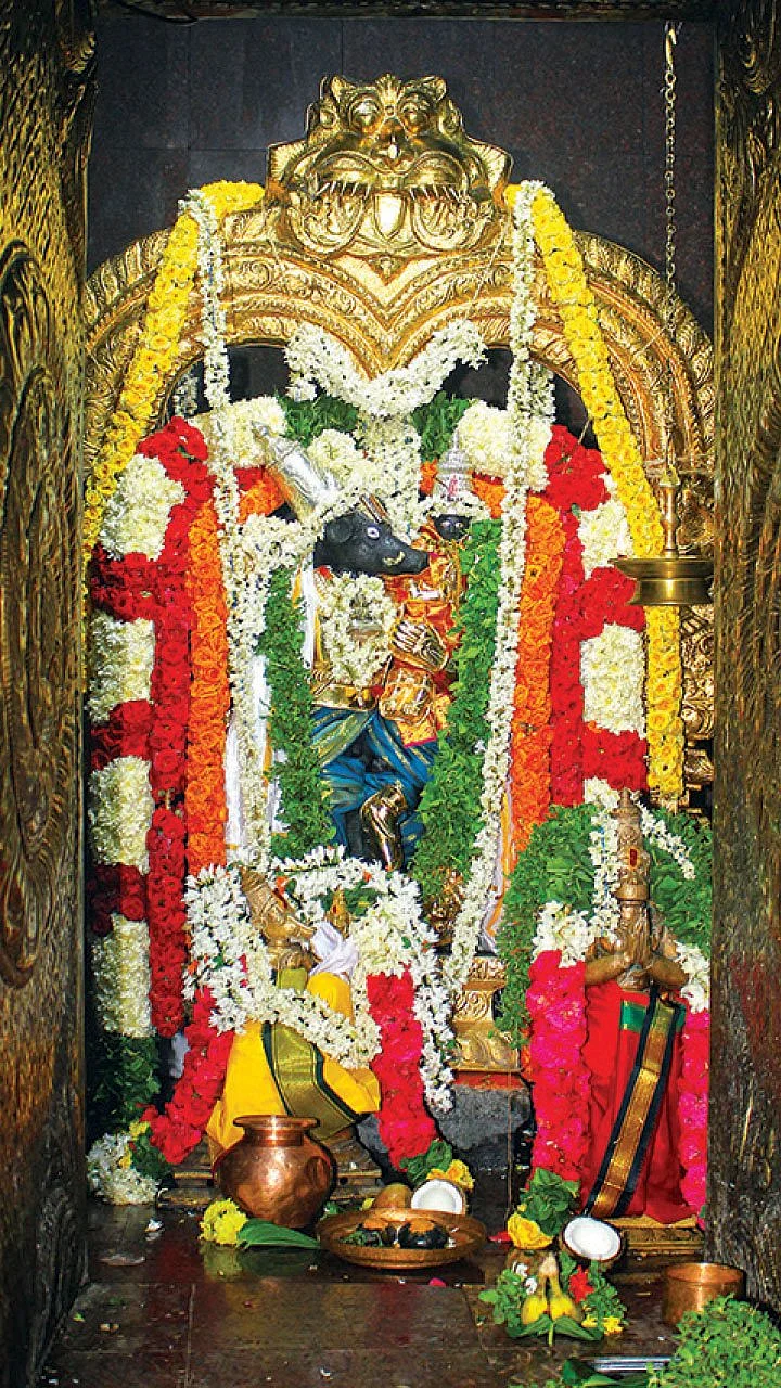 வராகர் தரிசனம்