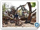 மரம் வெட்டி, நிலத்தைச் சுத்தப்படுத்திக்கொடுக்கும் திட்டம் - நடுத்திட்டு கிராமம்