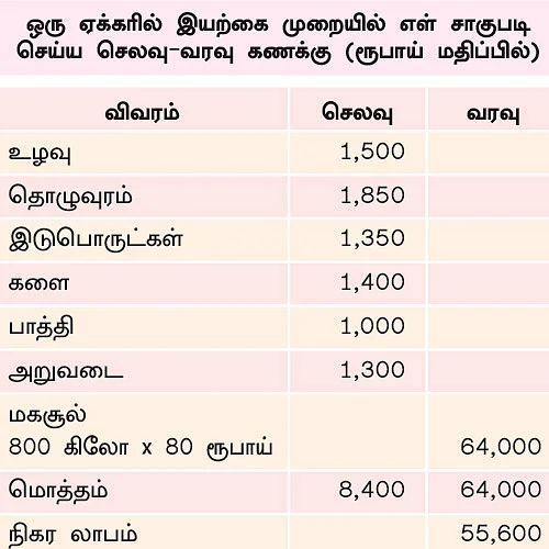 ஒரு ஏக்கர்... 90 நாள்... 64,000 ரூபாய்... குறைந்த செலவில், கொழிக்கும் எள்!