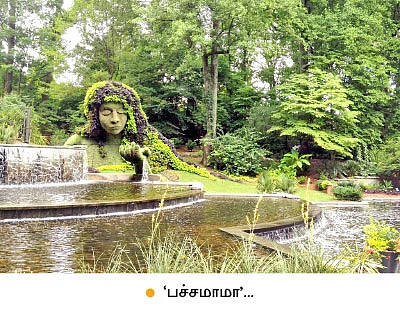 கார்ப்பரேட் கோடரி