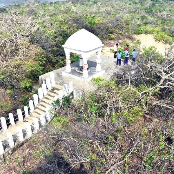 கொடும் பாலையான கோடியக்கரை சரணாலயம்! - கஜா கலைத்த வனம்... மீட்குமா அரசு?