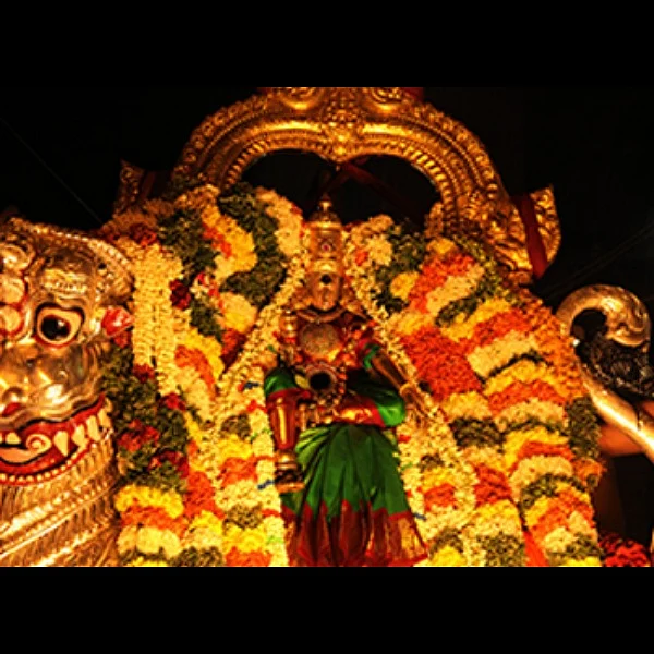 மீனாட்சி சுந்தரேஸ்வரர் கற்பக விருட்சம் வாகனம்... பிரியா விடை சிம்ம வாகனம்... படங்கள் - இ.ஜே.நந்தகுமார்