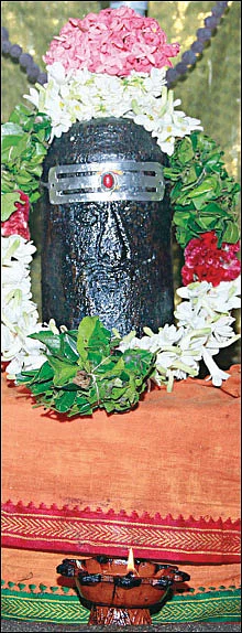 சிவம் தவம் தரிசனம்!