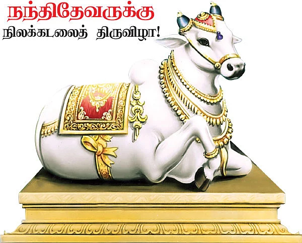 நந்திதேவருக்கு நிலக்கடலைத் திருவிழா!