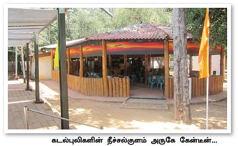 காட்டின் நடுவே ஒரு நீச்சல் குளம்!