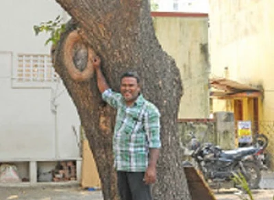 மனிதனைவிட மரங்களை நேசி... மரங்களின் காதலர்