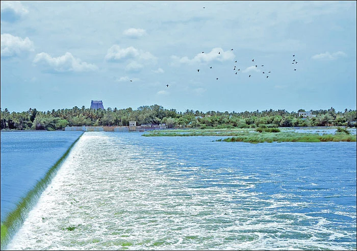 ரங்க ராஜ்ஜியம் - 12
