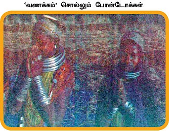 போன்டோக்களுடன் ஒரு நாள்!