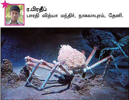 சுட்டி நியூஸ்