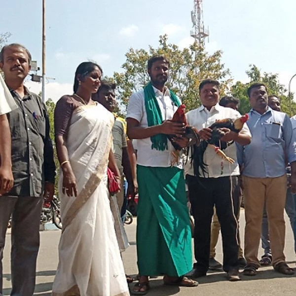 `நாட்டுக்கோழி இனத்தை அழிக்க நடக்கும் சதியே சேவல்கட்டுக்குத் தடை!’ - கொந்தளிக்கும் கரூர் நாம் தமிழர் கட்சி