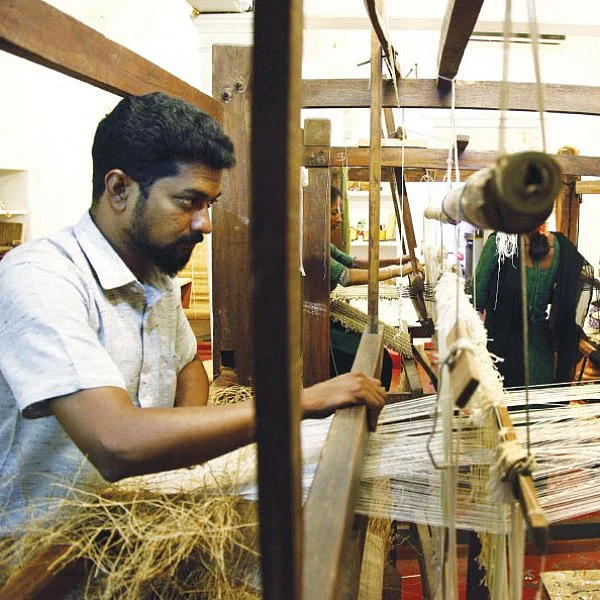 கொஞ்சம் ப்ளஸ்... நிறைய லாபம்! - லாபம் தரும் வெட்டிவேர்!