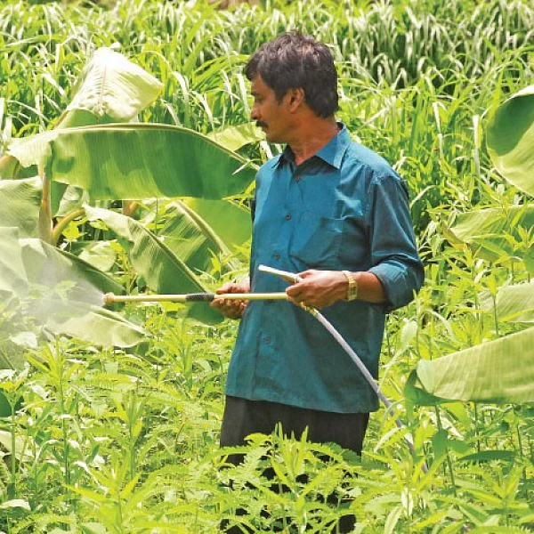 சின்னச் சின்ன நுண்ணுயிரிகள் பெரிய பெரிய லாபம்! உதவிக்கு வரும் உயிரியல் - 17