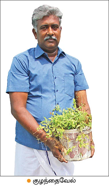நாட்டு விதைகள் இலவசம்... அசத்தும் மாடித்தோட்ட ஆர்வலர்!