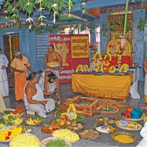 சுயம்வர பார்வதி ஹோமம்!