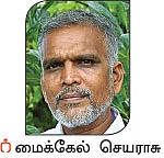 நல்மருந்து தெரிந்த செடிகள்... தெரியாத பயன்கள்! -14