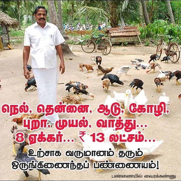 ₹ 13,00,000 from 8 acres... Growing paddy, coconut, goat, hen, pigeon, rabbit and duck..!