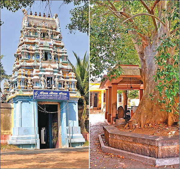 குறை தீர்க்கும் கோயில்கள் - 18 - ‘மூன்றாம் காலத்தில் மூலிகைச்சாறு!’