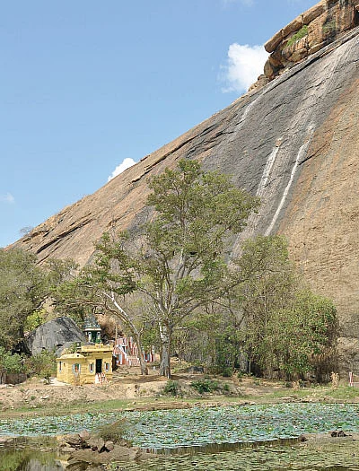 அரங்கனை மார்பில் தாங்கிய பிள்ளை லோகாச்சாரியார்