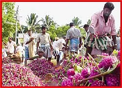 கரன்சியில் கேரள வாசம்!