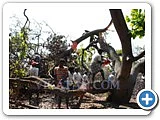 மரம் வெட்டி, நிலத்தைச் சுத்தப்படுத்திக்கொடுக்கும் திட்டம் - நடுத்திட்டு கிராமம்