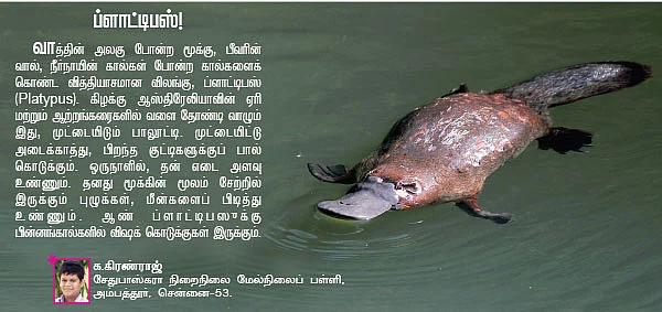 சுட்டி ஸ்டார் நியூஸ்