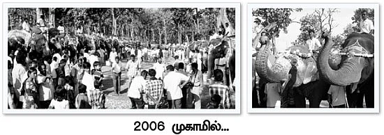 யானைகளை வைத்து சிறப்பு பூஜையா?
