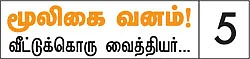 மூலிகை வனம் - அம்மான் பச்சரிசி...