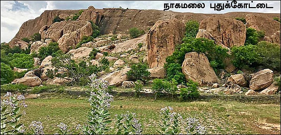 தமிழகம் இன்ஃபோ ஸ்பெஷல் #4 - மதுரை 200 - இன்ஃபோ புக்