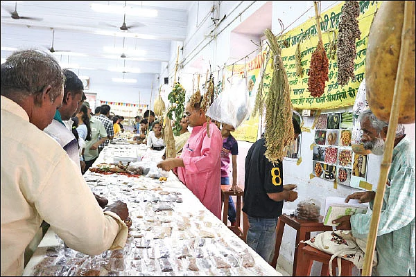 பாரம்பர்யத்தை விதைத்த விதைத் திருவிழா..!
