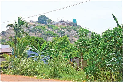 திருவருள் செல்வர்கள்! - 3