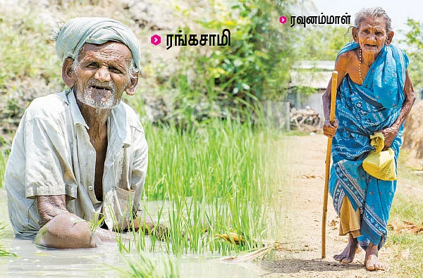 “எனக்கு 109 வயசு... எங்க அண்ணனுக்கு 111 வயசு...