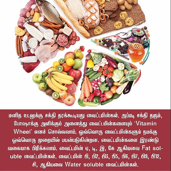 வைட்டமின் குறைபாடு..! எந்த உணவில் என்னென்ன சத்துகள்? #VikatanPhotoStory