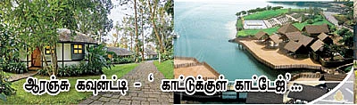 ஜாய்ஃபுல் ஆம்பிவேலி... கலர்ஃபுல் லாவாசா !