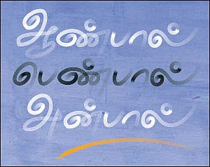 ஆண்பால் பெண்பால் அன்பால் - 29