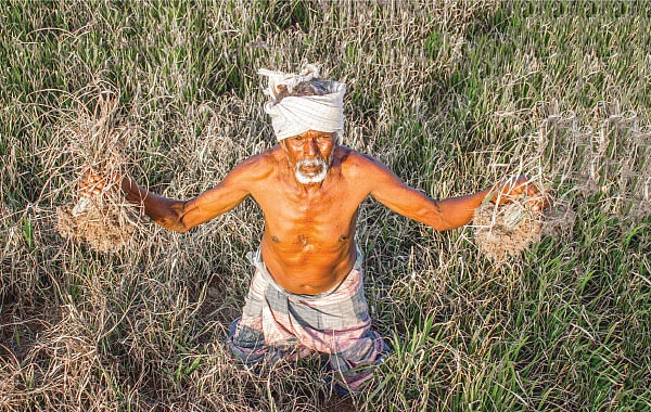 பயிரும் கருகுது... உயிரும் கருகுது! - பாலைவனம் ஆகும் தமிழ்நாடு