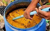 கேந்தி + கம்பு...