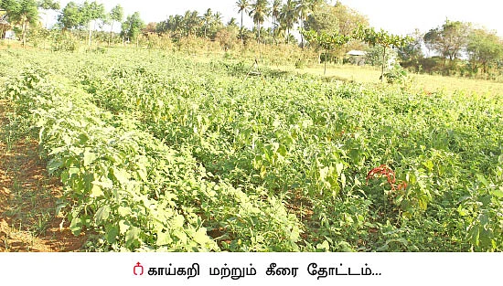 விடிஞ்சா பணம்... விவசாயச் சித்தரின் வெற்றிச் சூத்திரம்...