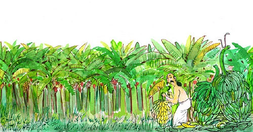 மண்புழு மன்னாரு !