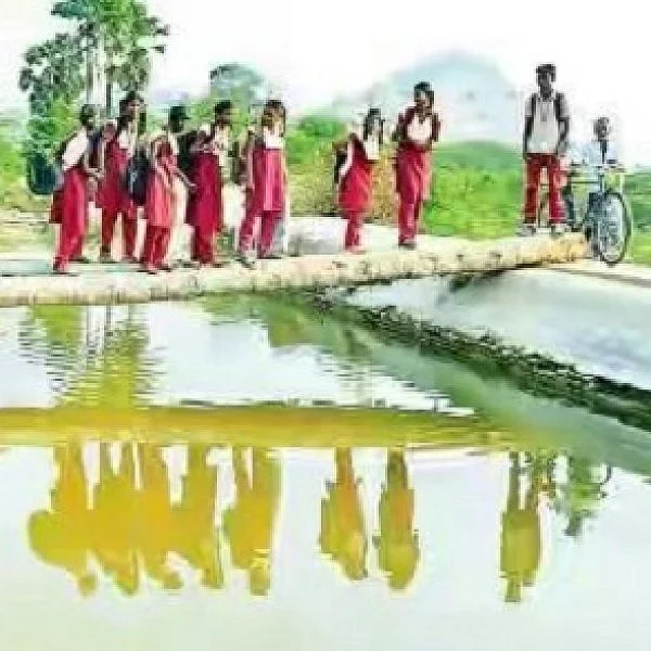 ``பனை மரம்தான் எங்கள் பாலம்!’’ - இது நெல்லை சோகம்