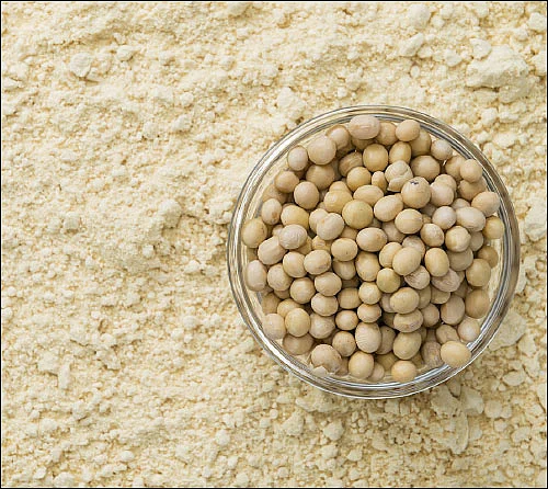 இரும்புச்சத்து கால்சியம் வைட்டமின்... ஊட்டங்கள் ஒரு கண்ணோட்டம்!