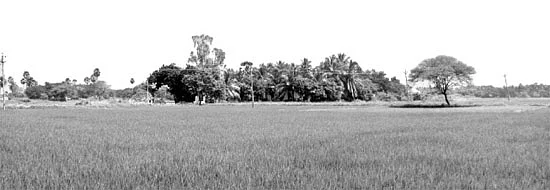 கோயில் நிலத்தைப் பறிப்பது, கல்லூரிக்காகவா?
