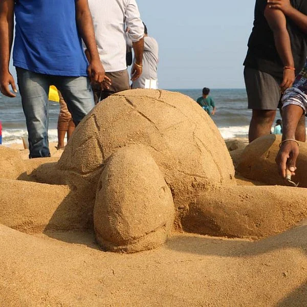 சென்னை பாலவாக்கம் கடற்கரையில் அழிந்துவரும் கடல் ஆமைகள் குறித்து பொது மக்களிடம் விழிப்பு உணர்வு ஏற்படுத்தும் நிகழ்ச்சி... படங்கள்: - வ.யஷ்வந்த்