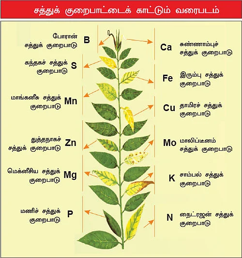 மண்ணுக்கு மரியாதை!