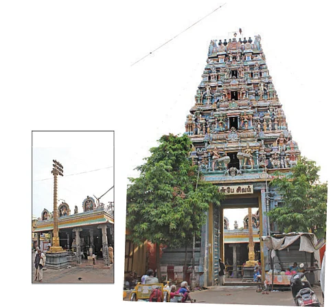 ஸ்ரீநடராஜர் தரிசனம்! - திருவல்லிக்கேணி