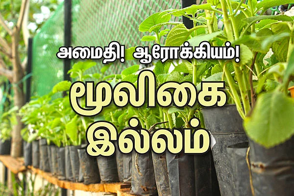 அமைதி! ஆரோக்கியம்! மூலிகை இல்லம்