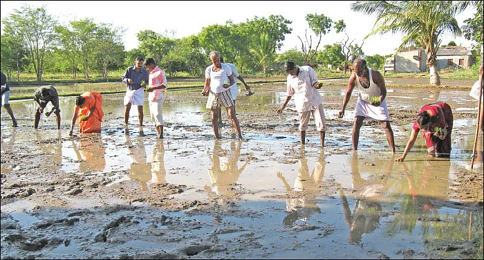 ஏன்... ஏன்? தெரிவோம்... தெளிவோம்! - 3 - வயல்வெளிப் பள்ளியில் பயில்வது எப்படி?