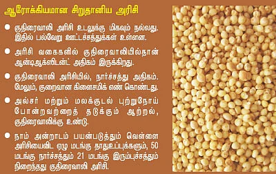அரிசிச் சோறு ஆரோக்கியம்தானா?