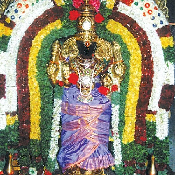 தேவி தரிசனம்...