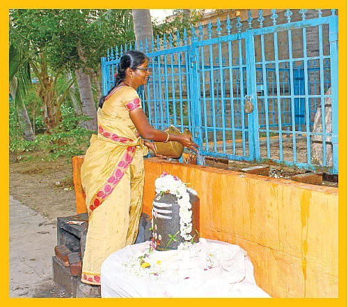 பிணிக்கு மருந்தாகும் பிரசாதத் திருநீறு!